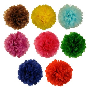 Tissue Pom Pom Paper Flower Ball 8inch 8 Assorted Color