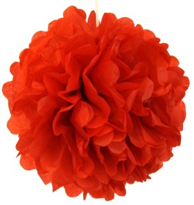 Tissue Pom Pom Paper Flower Ball 8inch Red